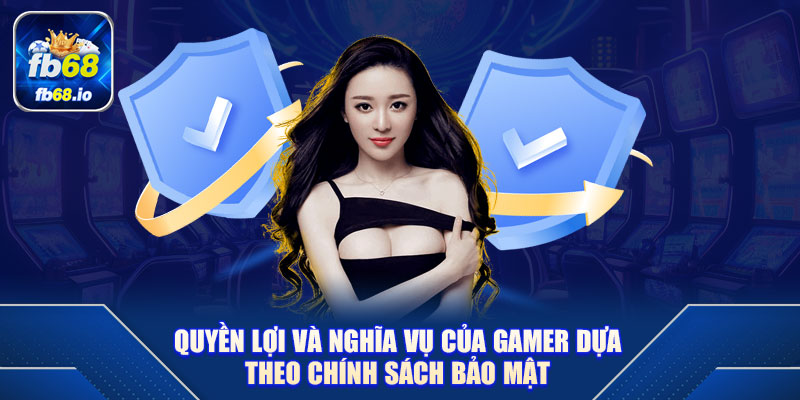Quyền lợi và nghĩa vụ của gamer dựa theo chính sách bảo mật