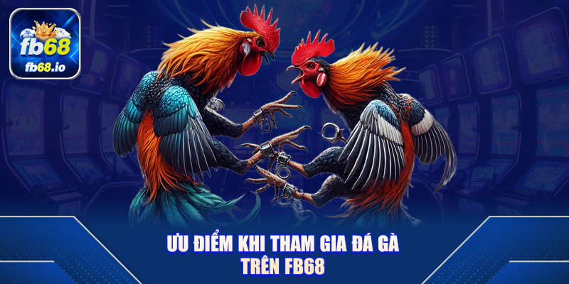 Ưu Điểm Khi Tham Gia Đá Gà FB68